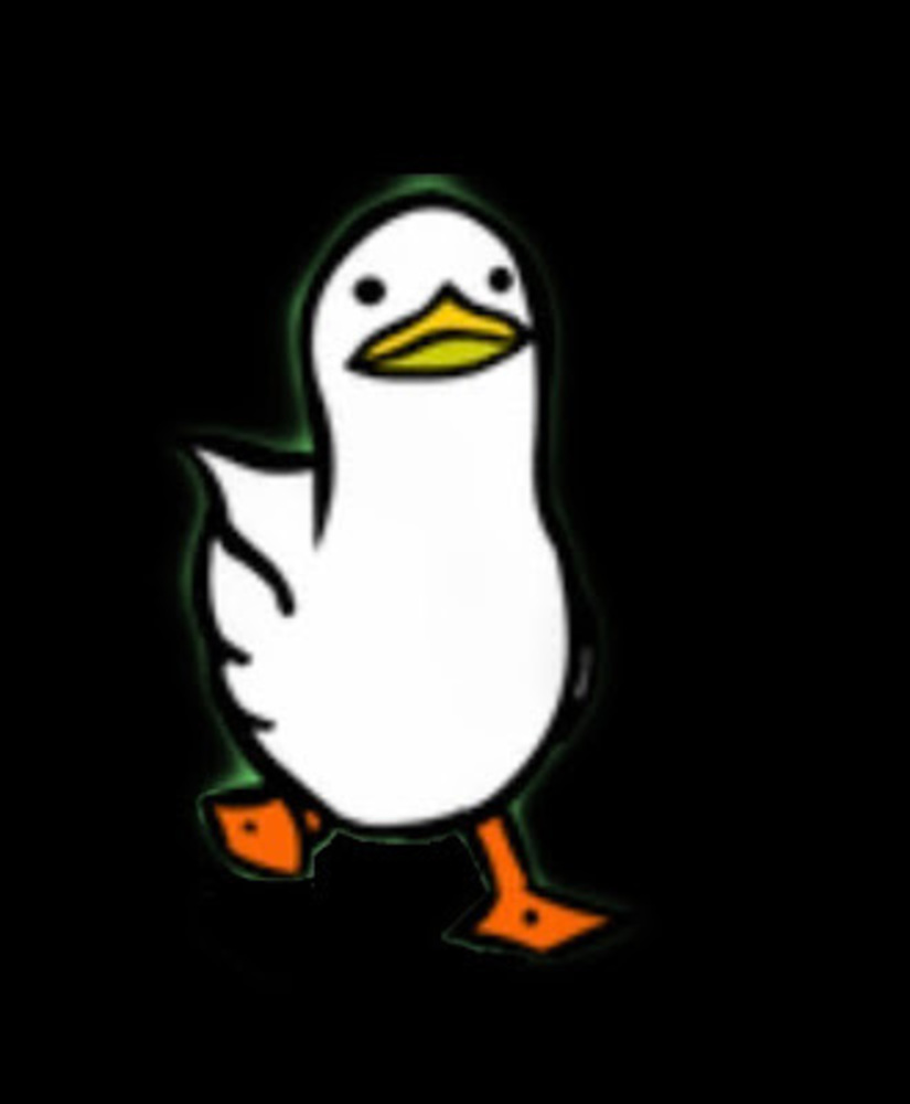 Meet your Posher, Duckky